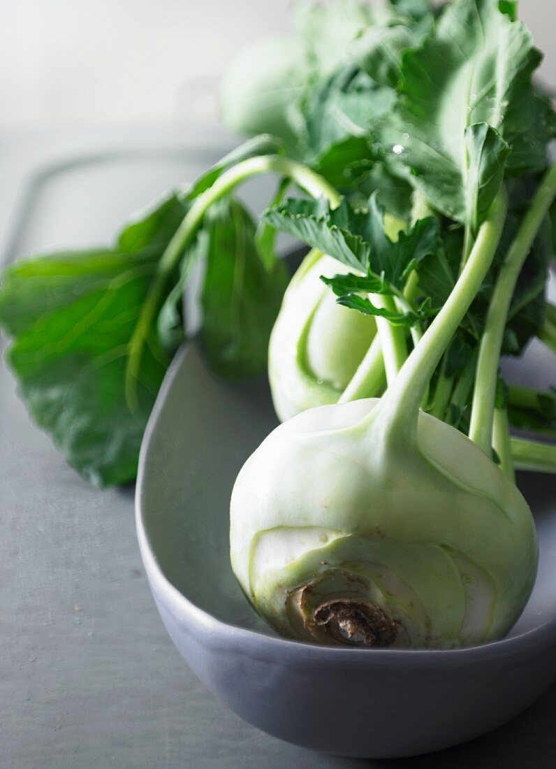 Kohlrabi in einer Schüssel