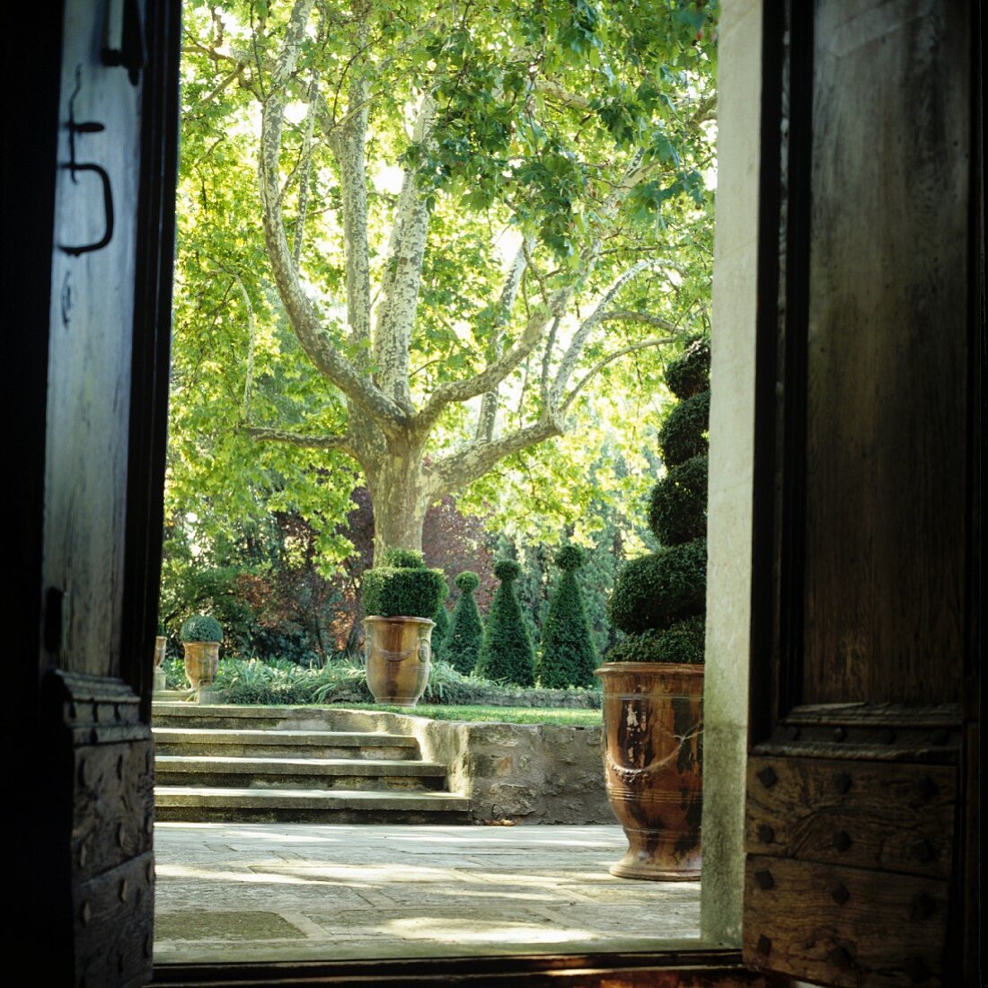 View from front door of house into gardens with steps and topiary bushes