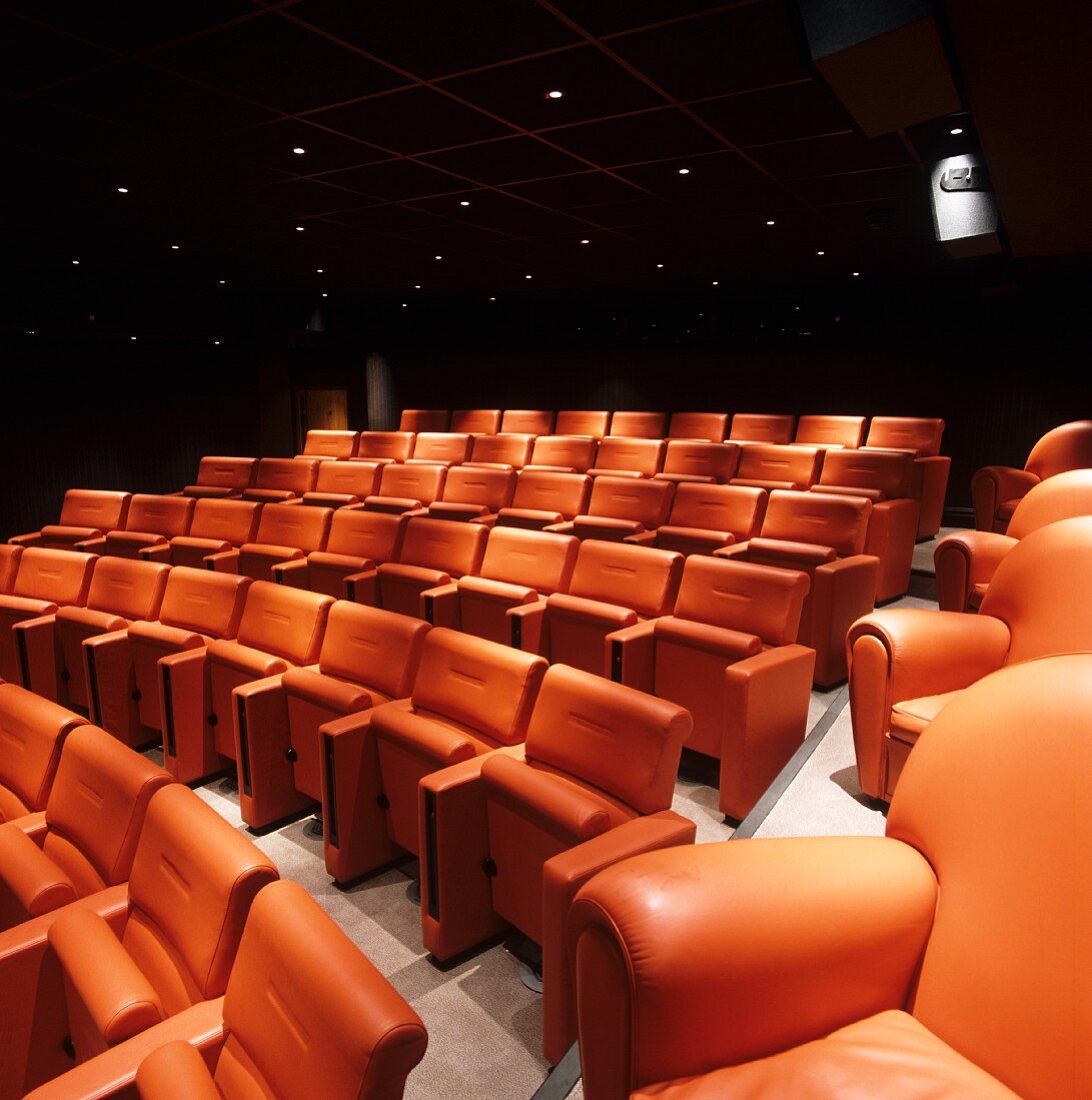 Movie theatre - rows of seats with orange back and seat cushions below dark panelled ceiling with spotlights