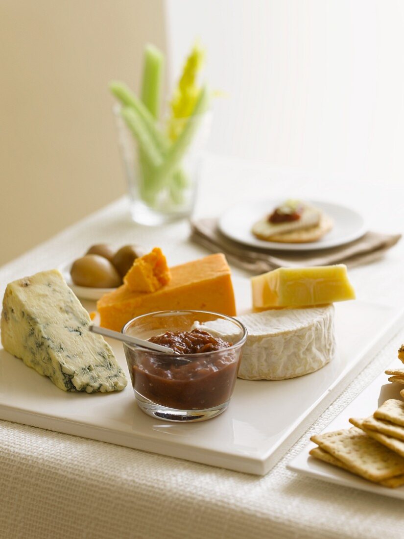 Various types of cheeses, chutney and crackers