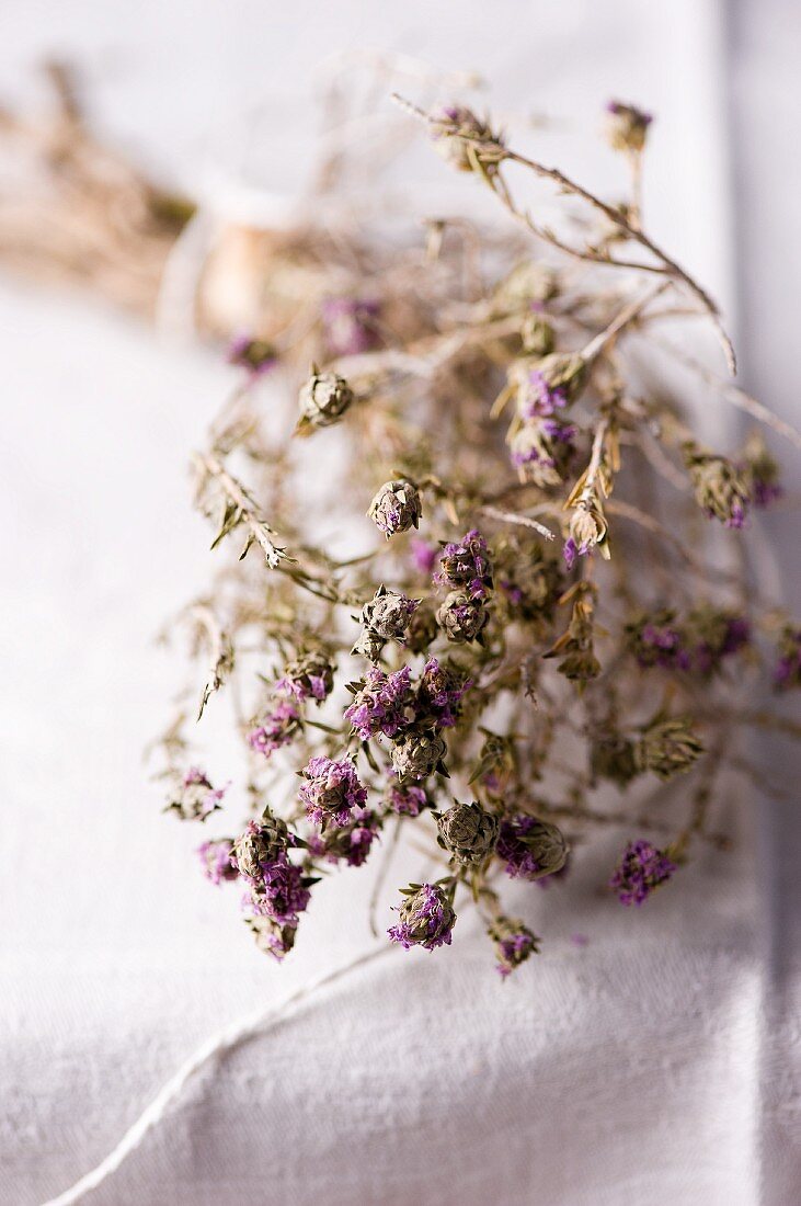 Wild organic thyme from Sicily (dried)