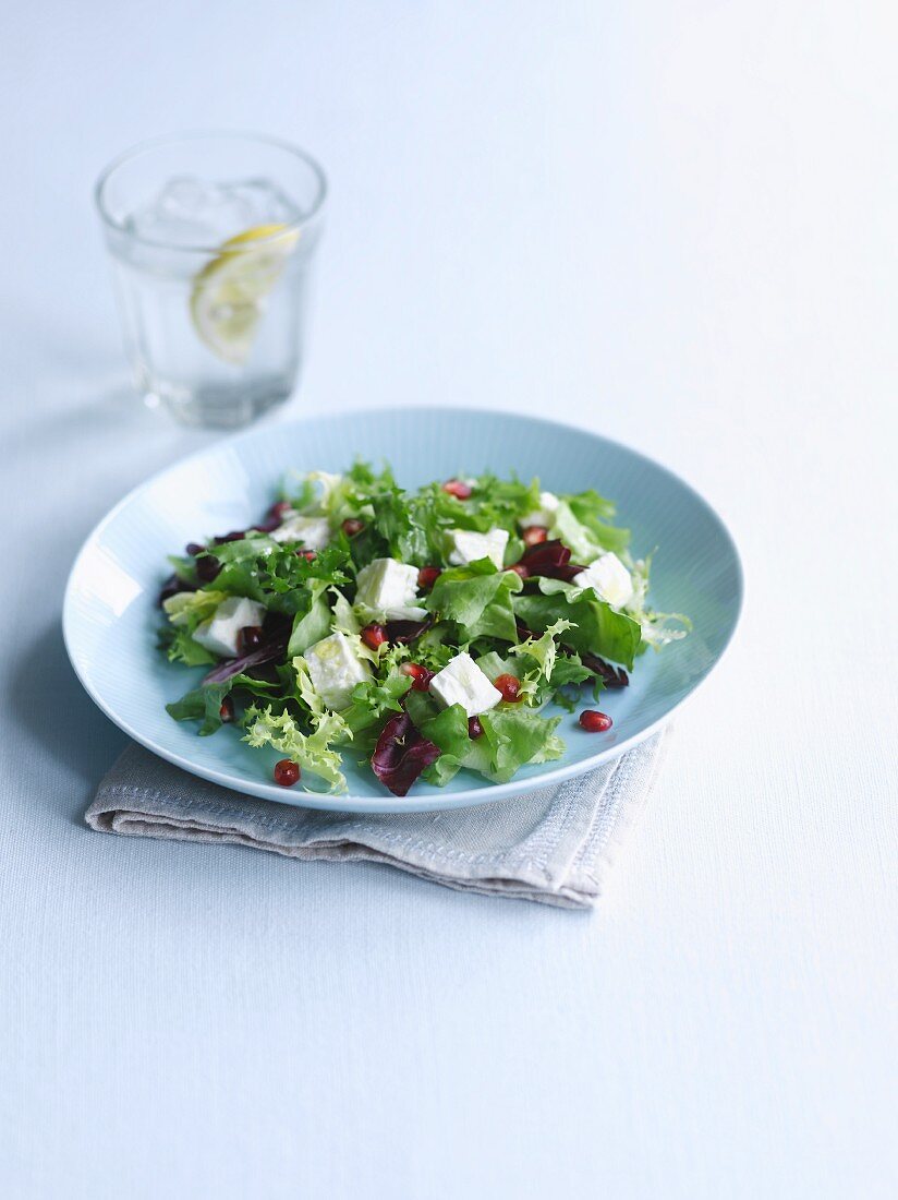 Mixed leaf salad with sheep's cheese and pomegranate seeds