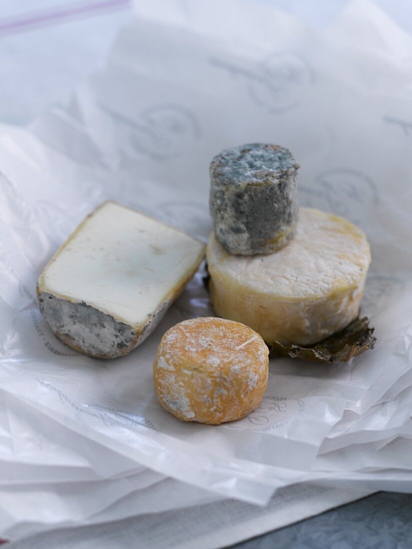 Four different types of goat's cheese