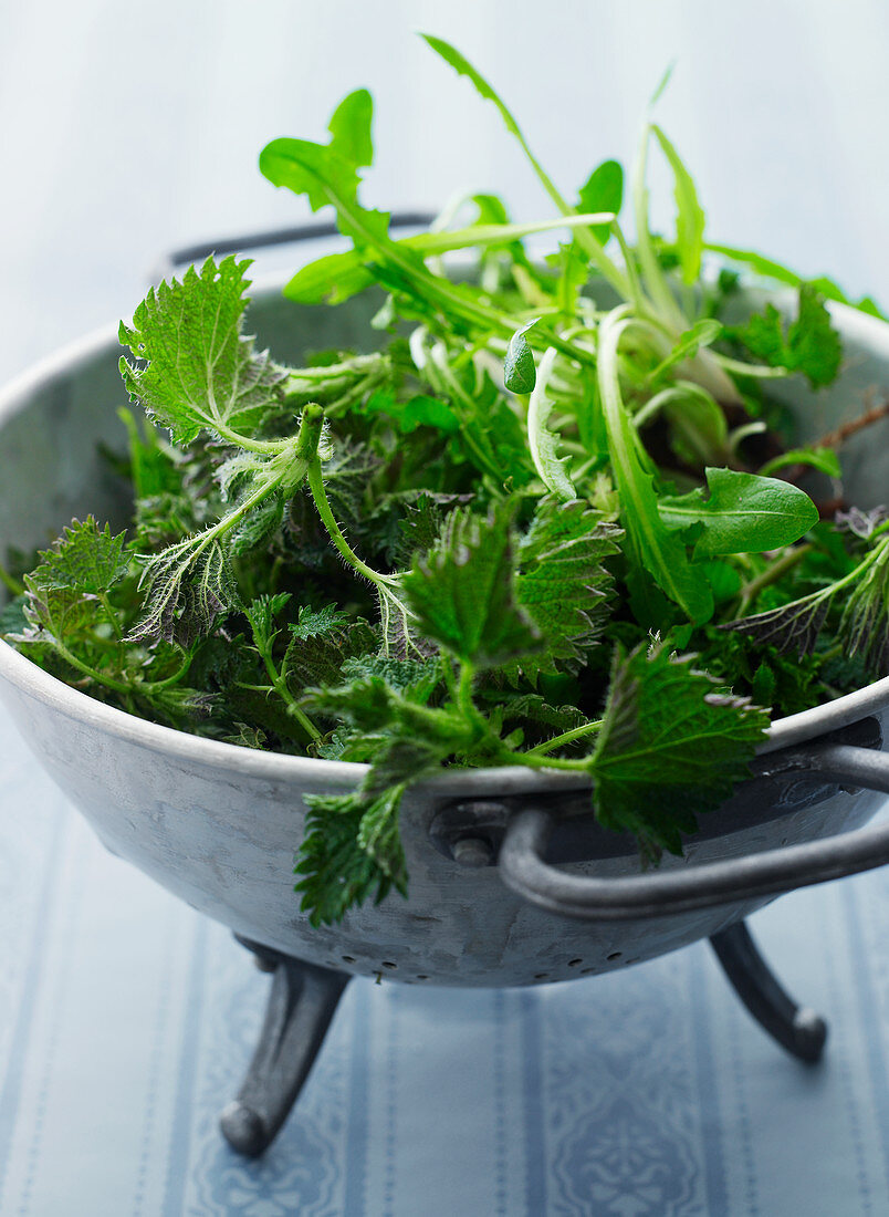 Fresh herbs for a herb salad in a colander