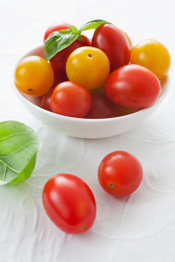 Verschiedene Kirschtomaten und Basilikum