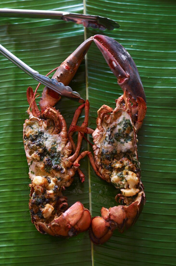 Tandoori lobster
