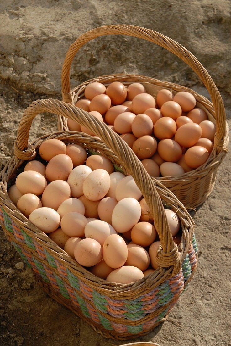 Viele frische Eier in Körben
