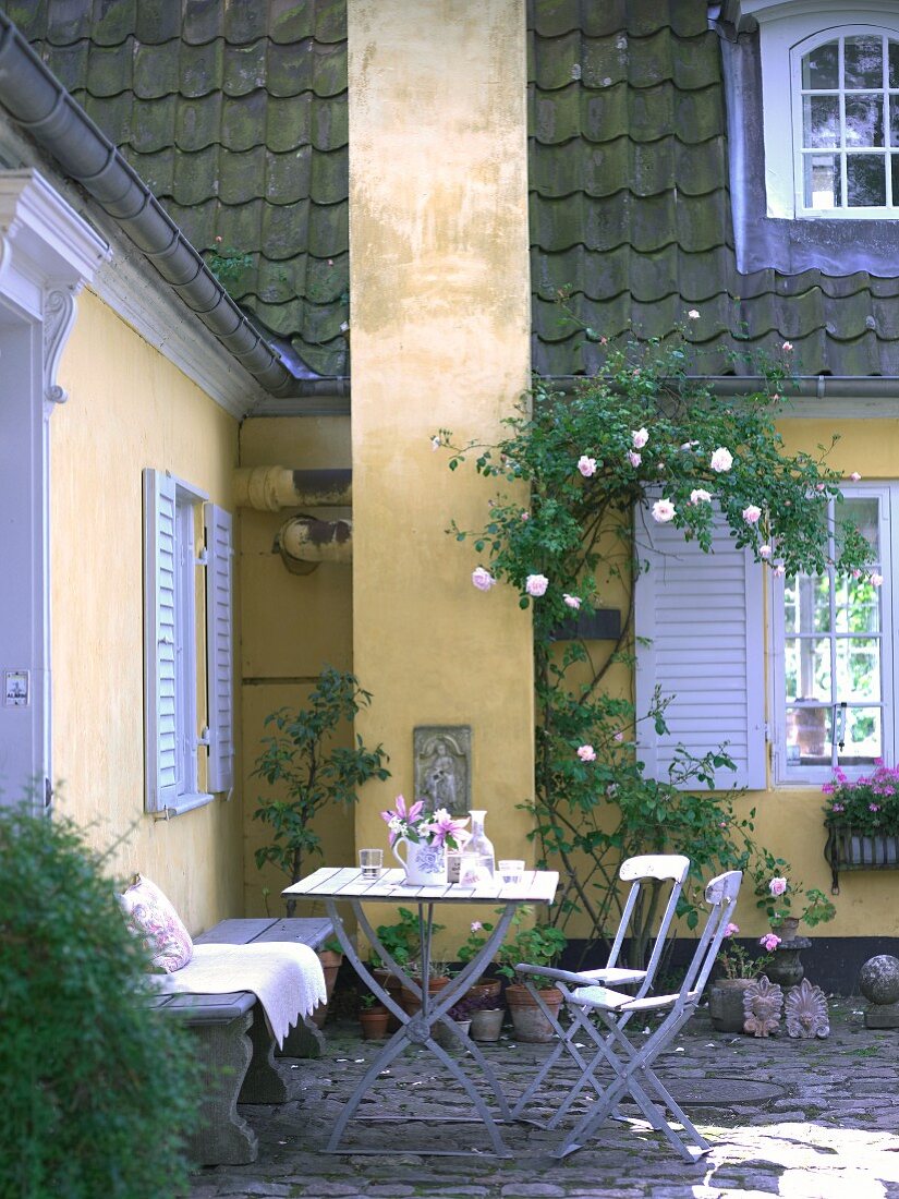 Seating area on idyllic terrace with climbing rose on facade