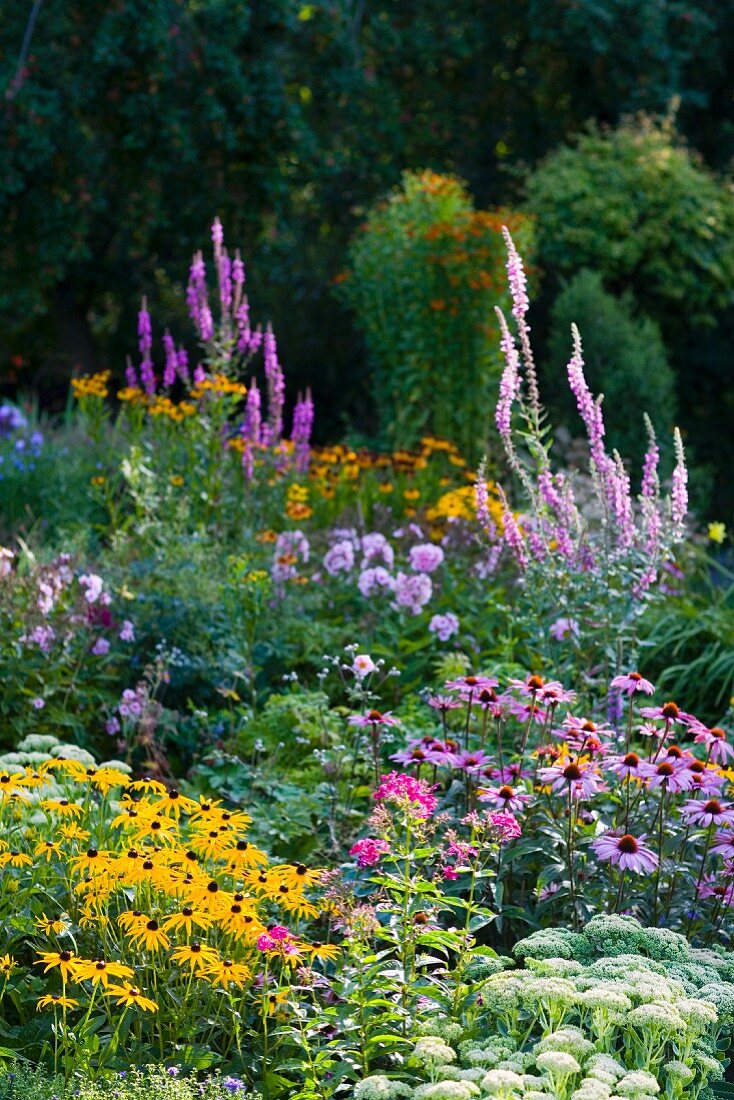 Bunt blühender Garten