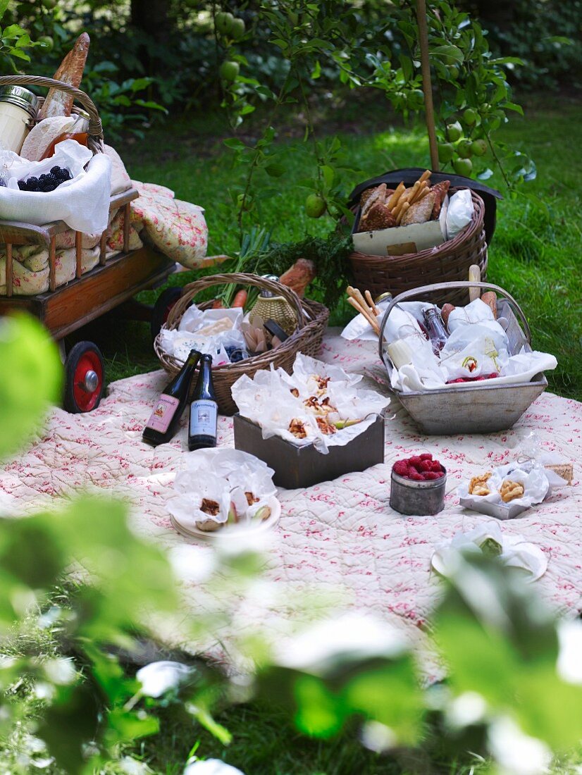 Üppiges Picknick auf Decke im Garten
