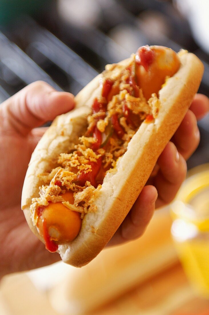 Hand hält ein Hot Dog