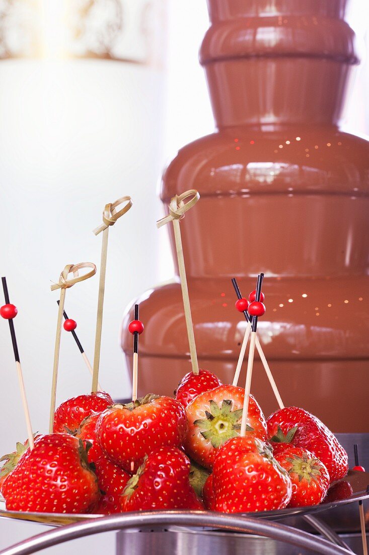 Frische Erdbeeren vor einem Schokoladenbrunnen