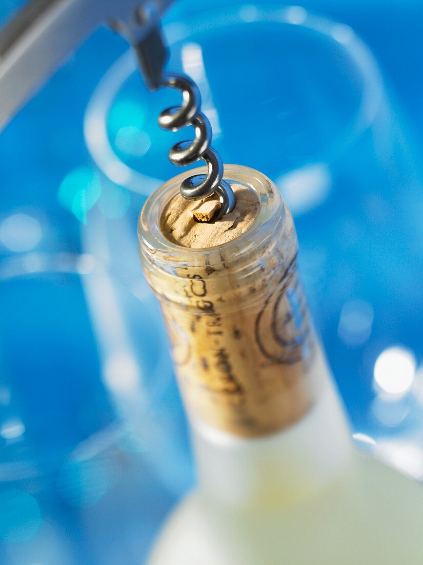 A wine bottle and a corkscrew (close-up)