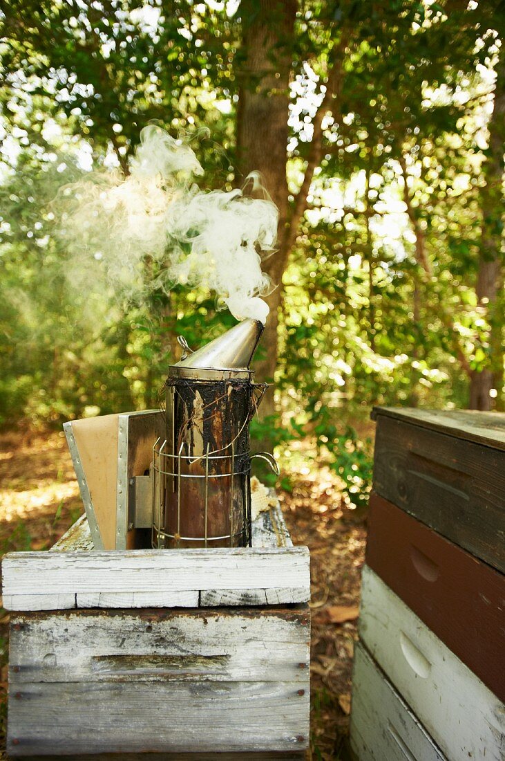 Rauchgerät zum Bienenausräuchern