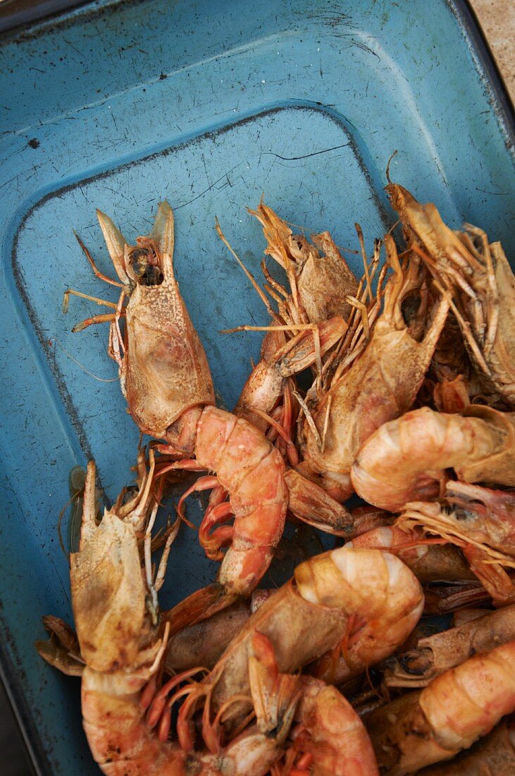 Cooked deep-sea prawns