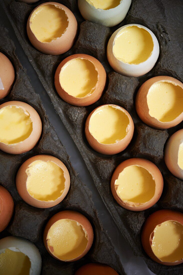 Custard Cooked In Egg Shells; From Above; In Egg Cartons