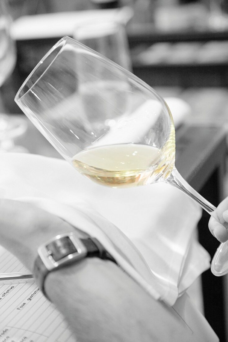 White wine at a tasting session