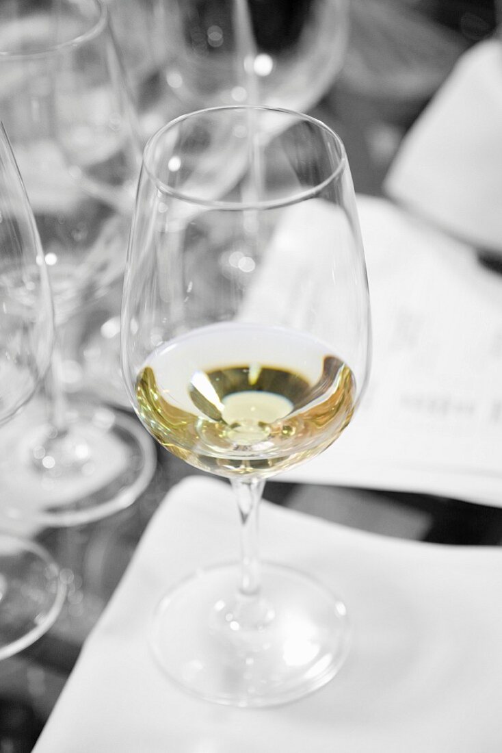 A glass of white wine at a tasting session