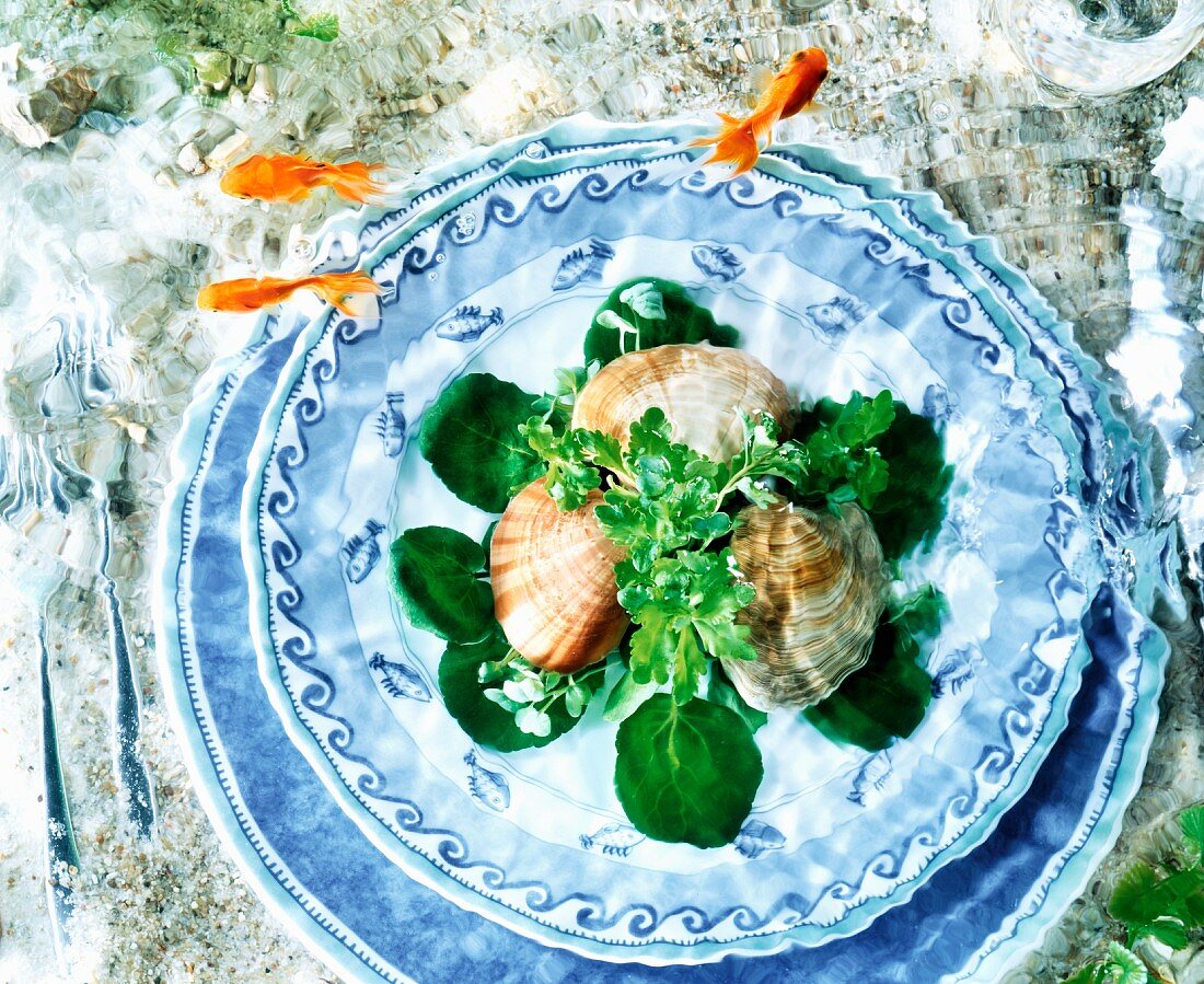 Teller unter Wasser mit Goldfischen und Muscheln