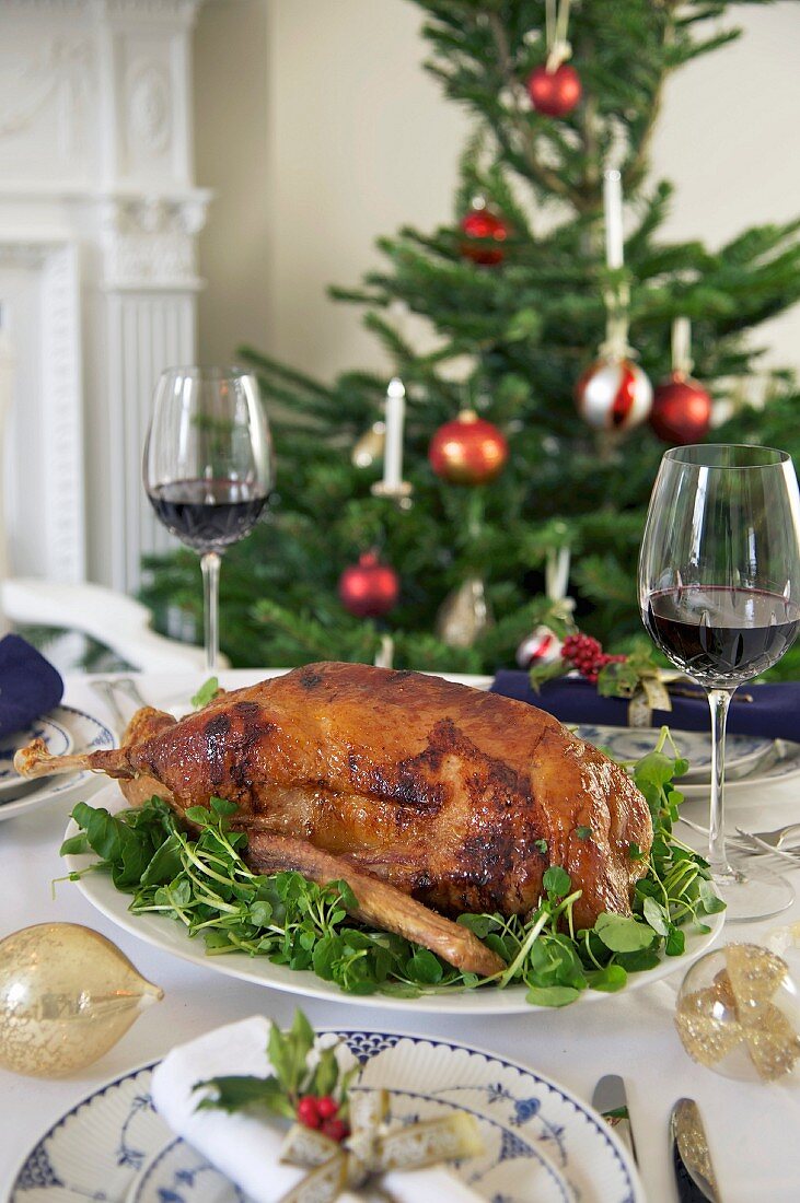 Roast goose on a bed of cress for Christmas dinner
