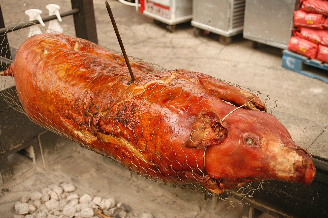 Whole Roasting Pig Over Charcoal at State Fair