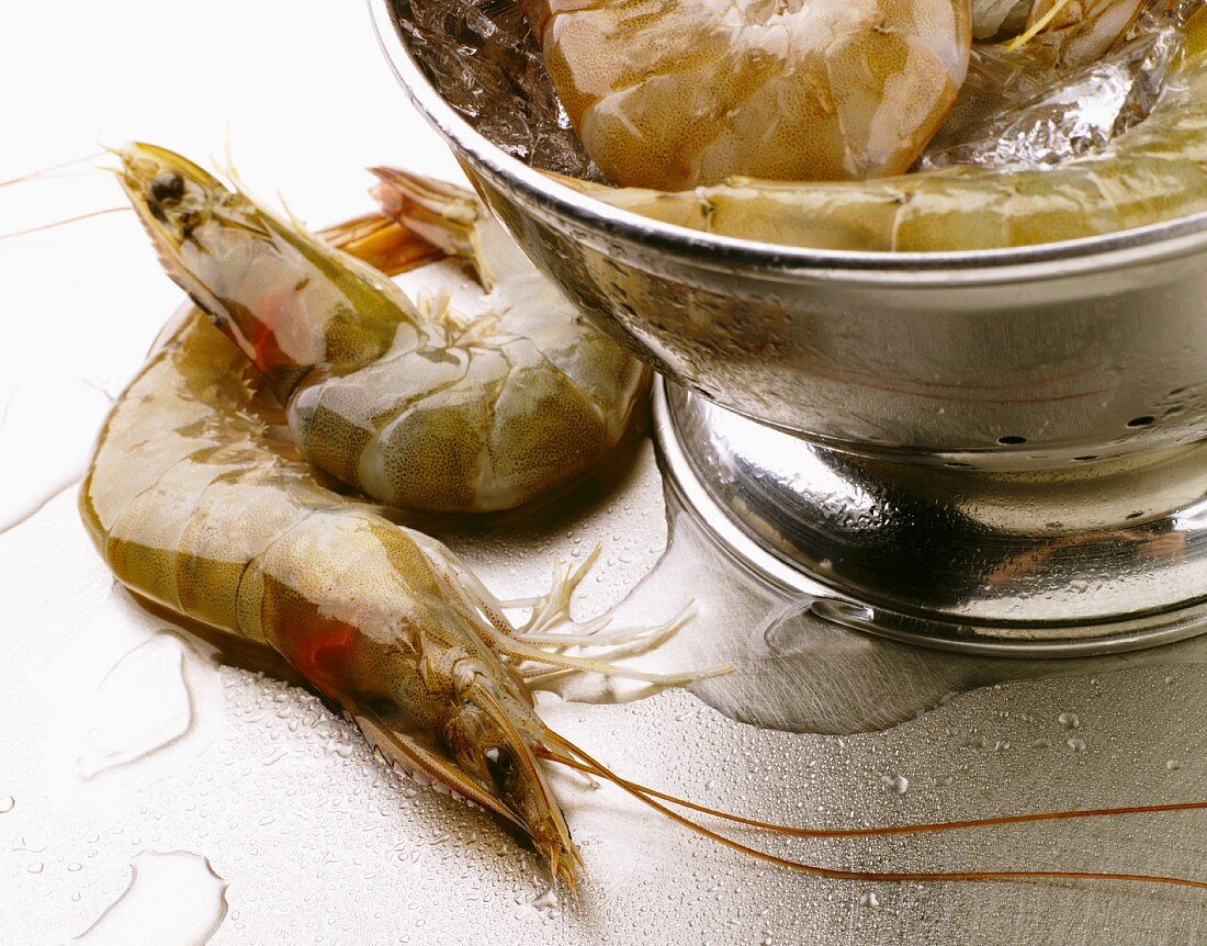 Whole Shrimp on a Steel Surface; Shrimp in a Colander with Ice