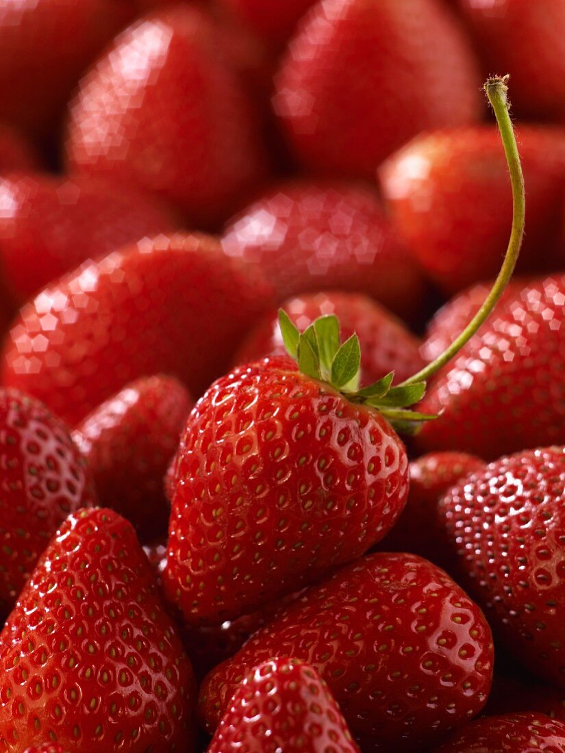 Fresh strawberries