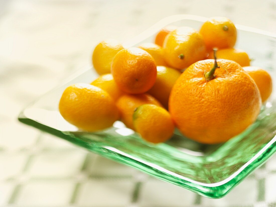 Tangerine und Kumquats auf Glasteller