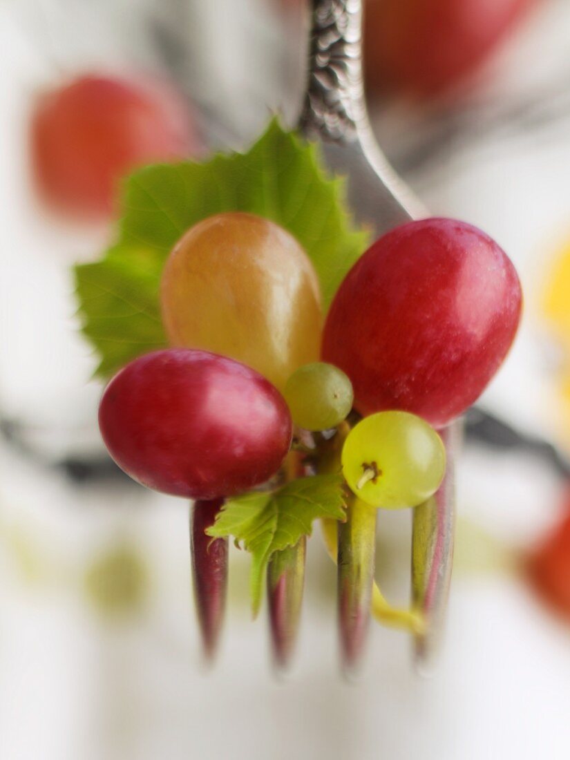 Red and Green Grapes on a Fork with Grape Leaf