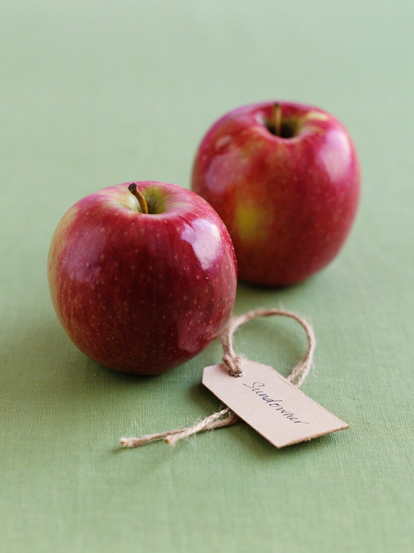 Two Sundowner apples with a label