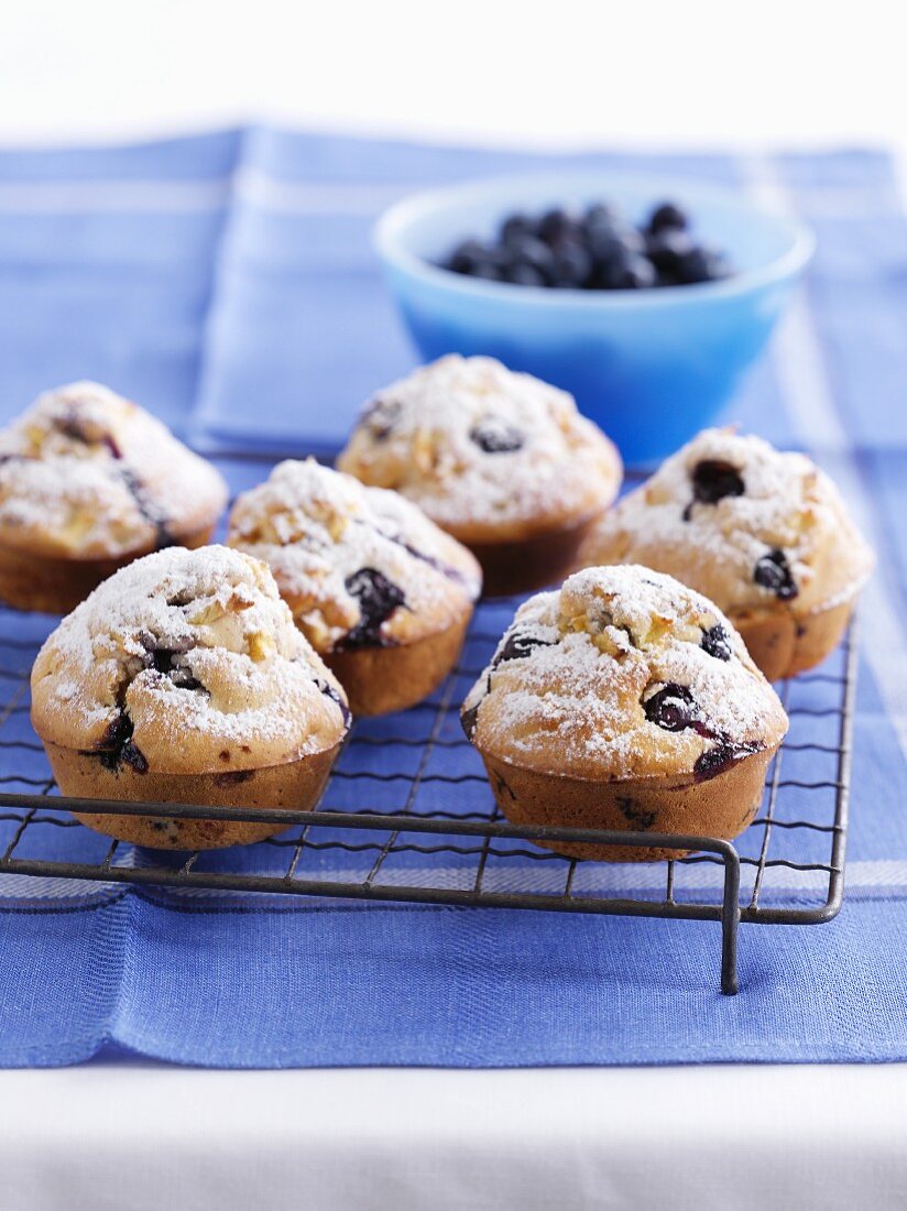 Blueberry muffins with icing sugar on a wire rack