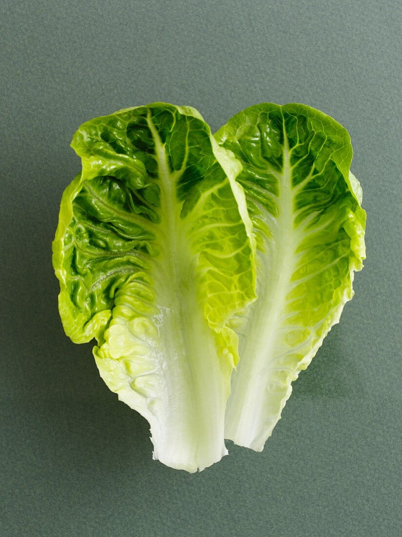 Two lettuce leaves
