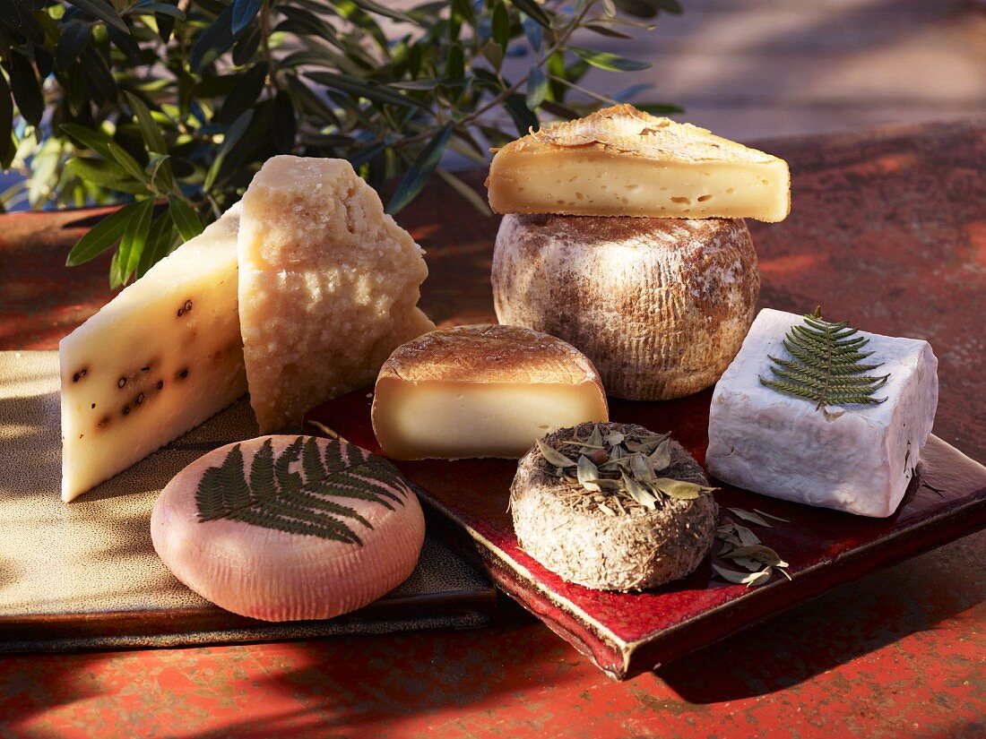 Various types of cheese from Corsica