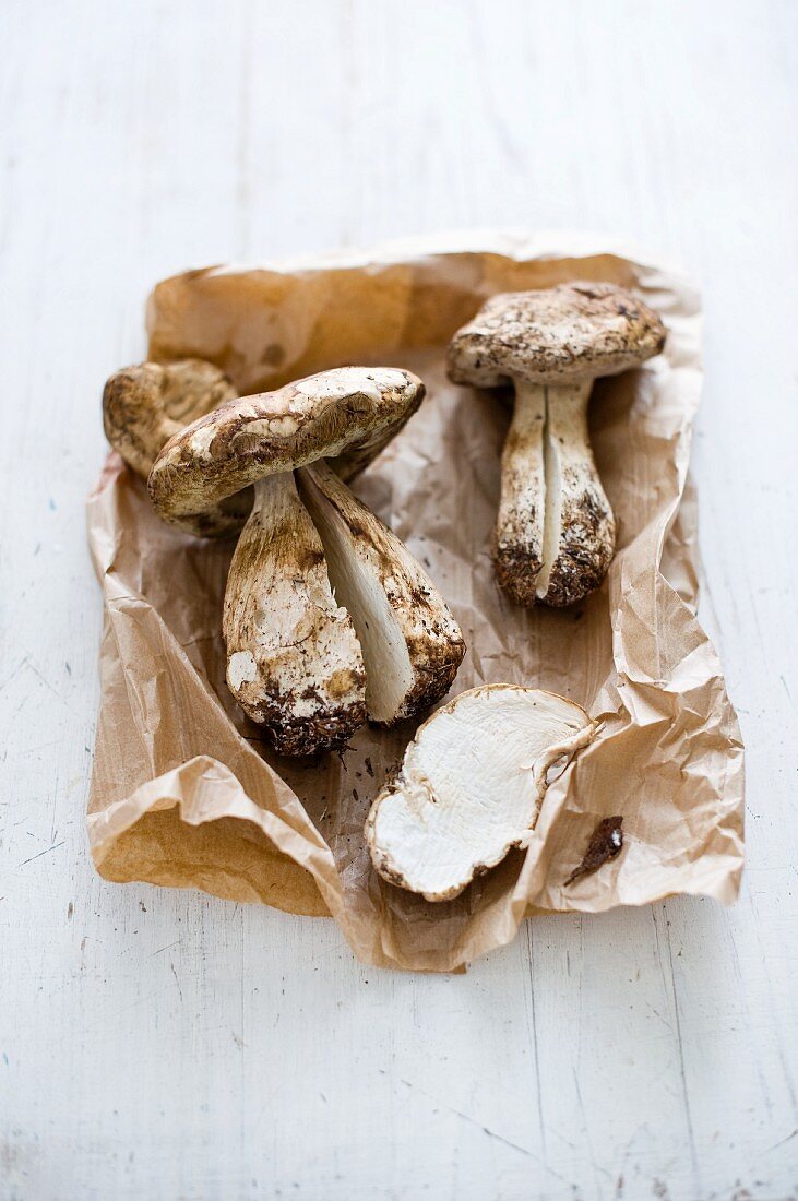 Fresh porcini mushrooms on a paper bag