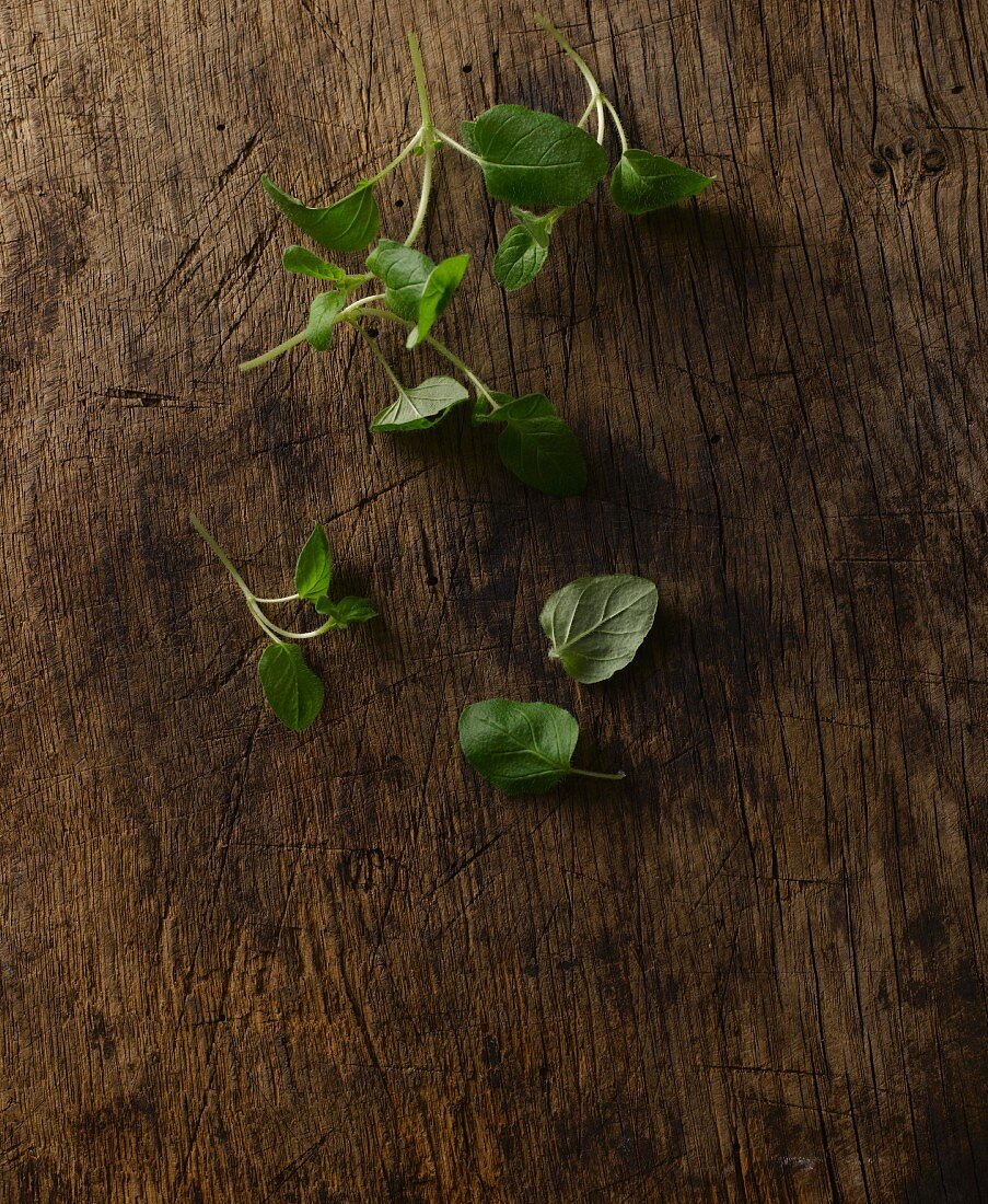 Frischer Oregano auf Holzbrett