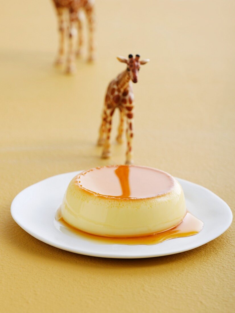 Creme caramel and a giraffe figurine