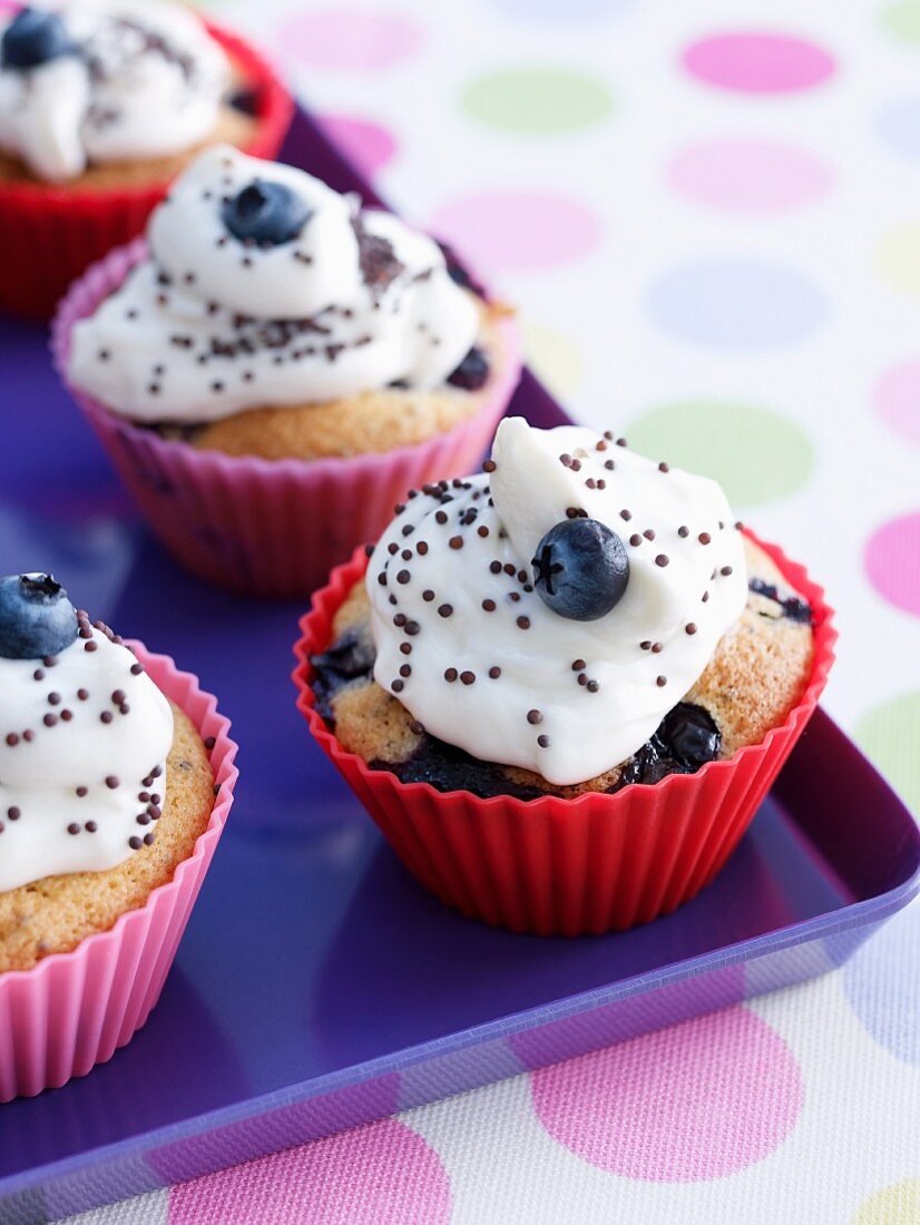 Blueberry cupcakes with poppy seeds