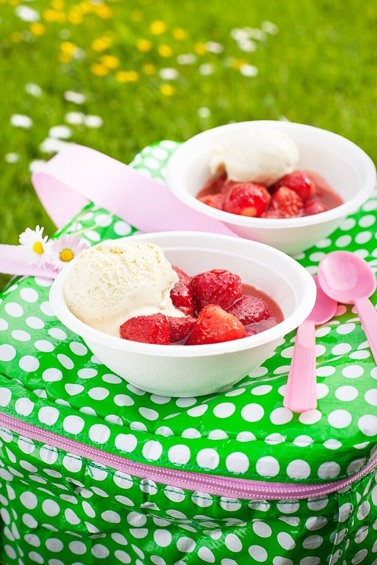 Strawberry compote with vanilla ice cream on a cooler bag