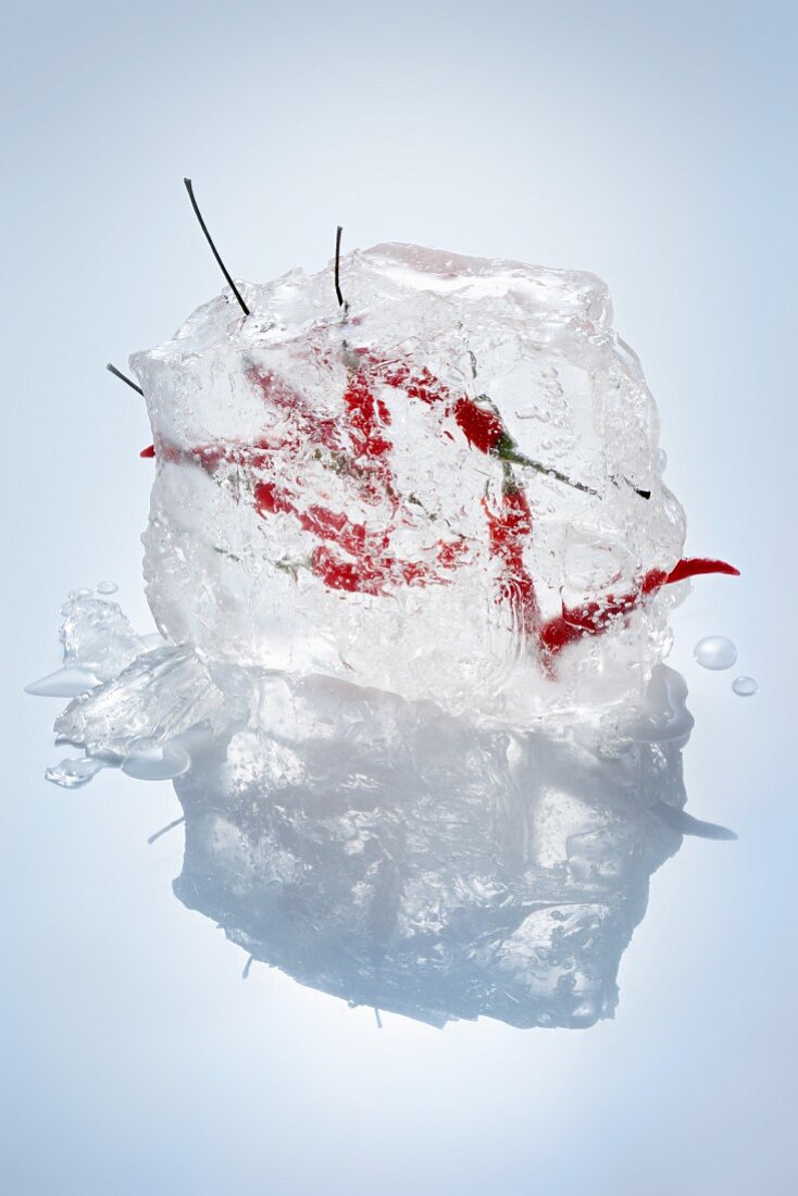 Chilli peppers in a block of ice