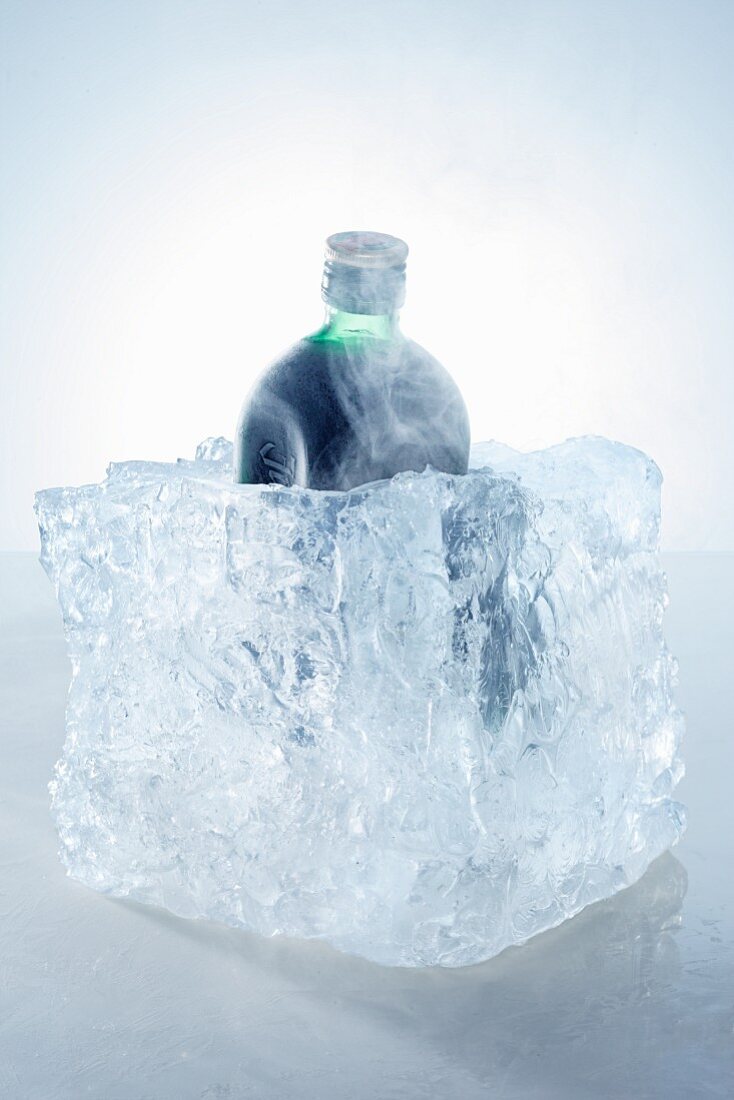 Eine Flasche Kräuterschnaps im Eisblock