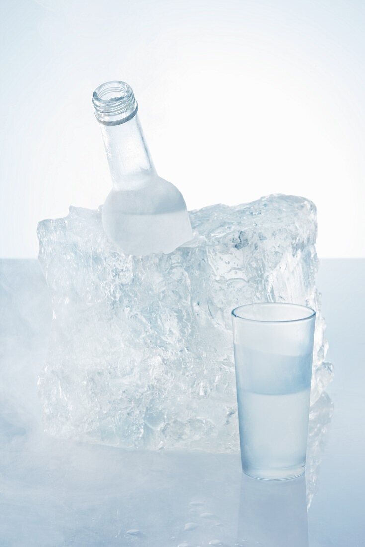 Ein Schnapsglas vor Schnapsflasche im Eisblock