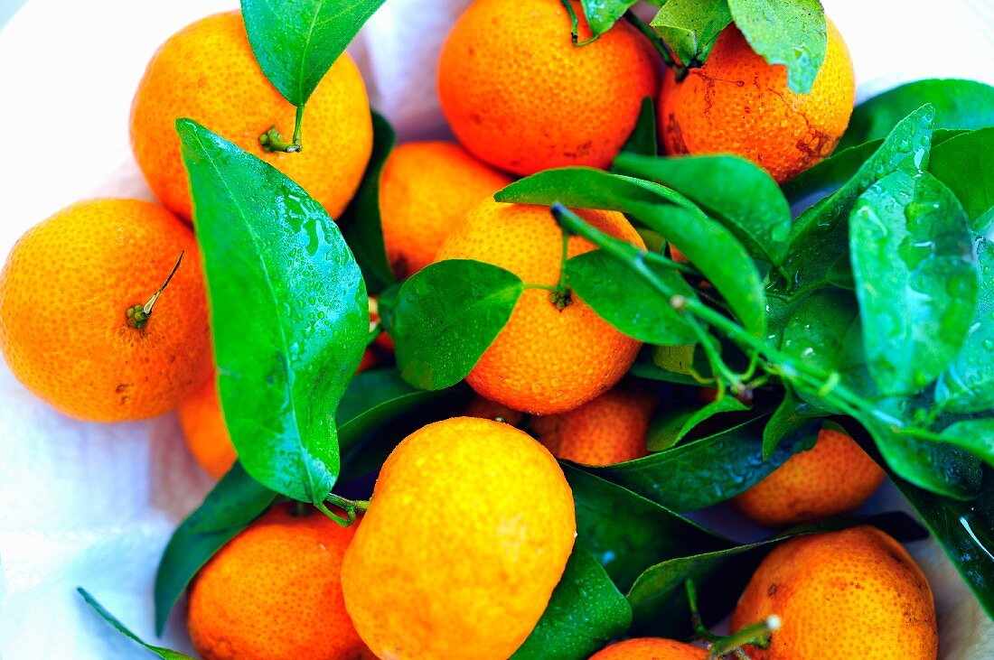 Mandarins with leaves