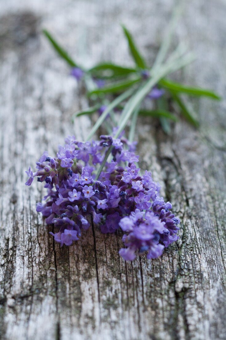 A bunch of lavender on a wooden surface