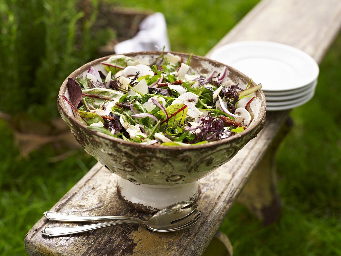 Rucola-Spinat-Salat mit Champignons