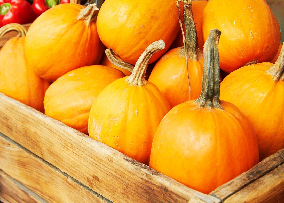 Crate of Sugar Pumpkins at a Market