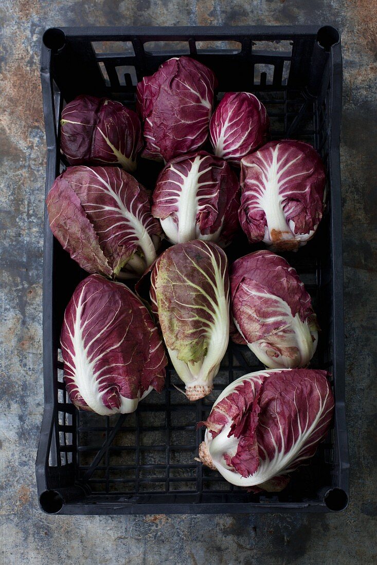 Radicchio in a plastic crate (seen from above)