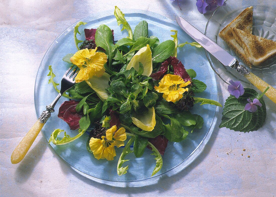 Spring Salad with Nasturtium and mixed Lettuce and Toast