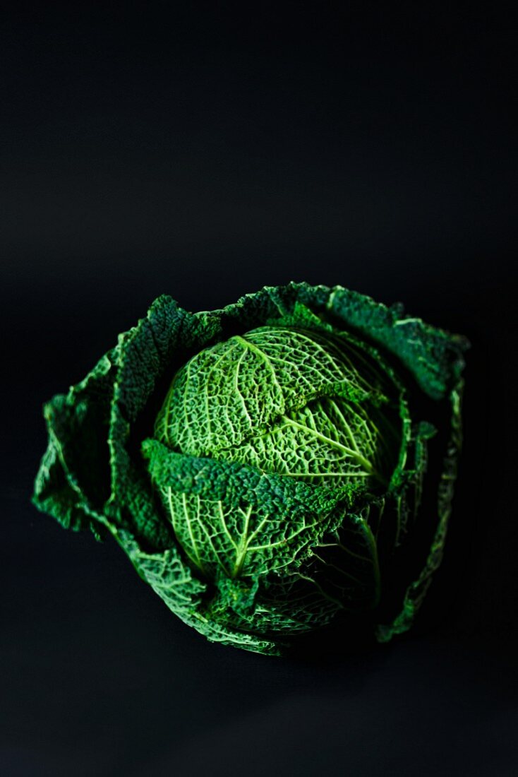 A savoy cabbage against a black background