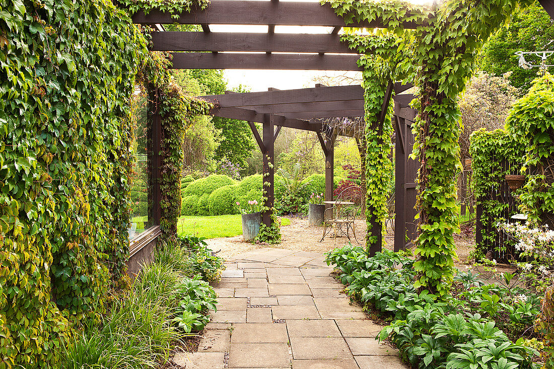 Climber-covered pergola over garden path and terrace