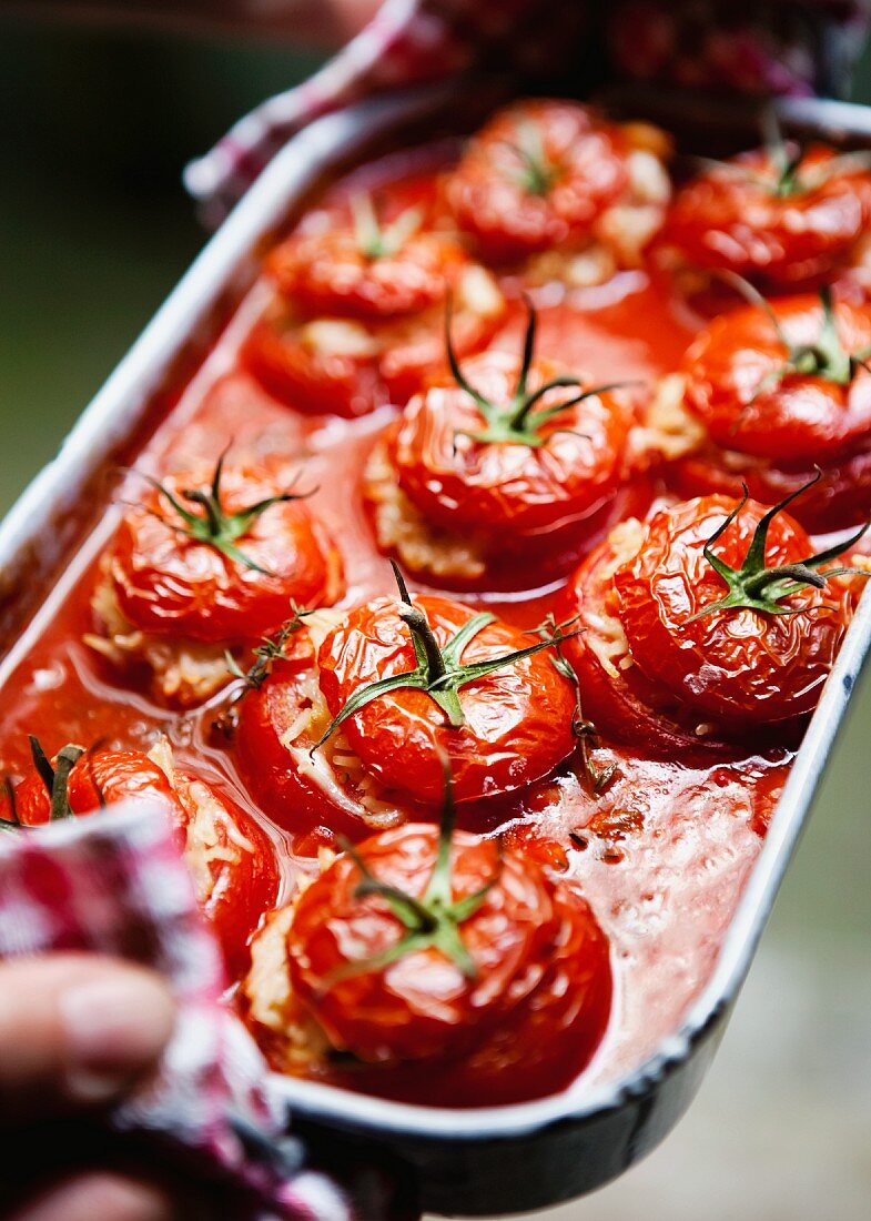 Hände halten Reine mit gefüllten Tomaten
